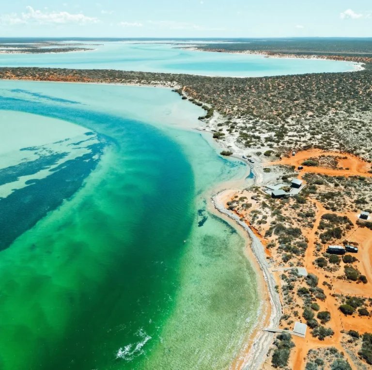 Is It Realistic to Drive From Perth to Monkey Mia on a Short WA Trip, or Should I Fly?