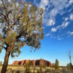 The Psychology of Sacred Spaces: Understanding Uluru