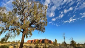The Psychology of Sacred Spaces